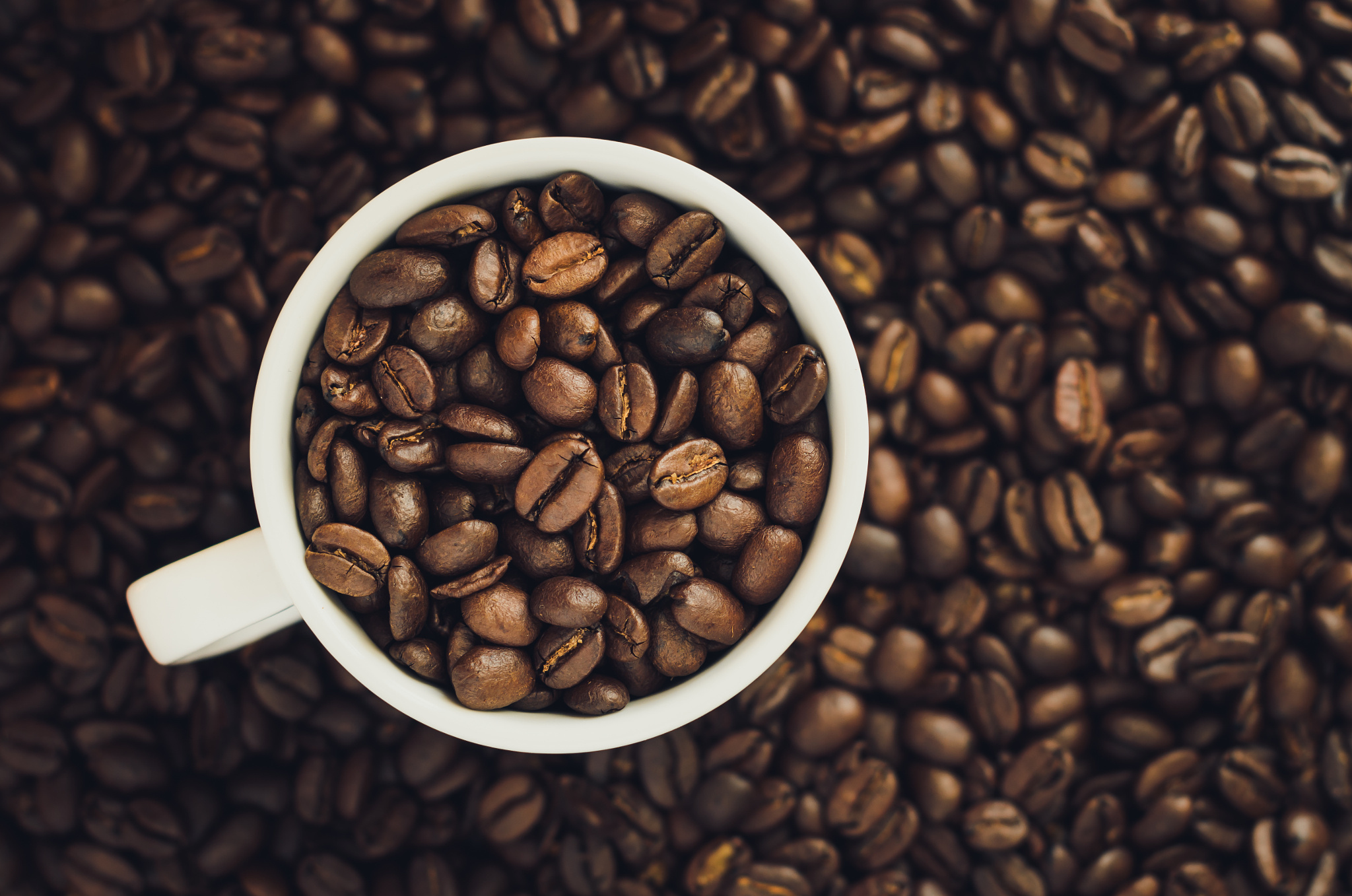 Food & FMCG Products